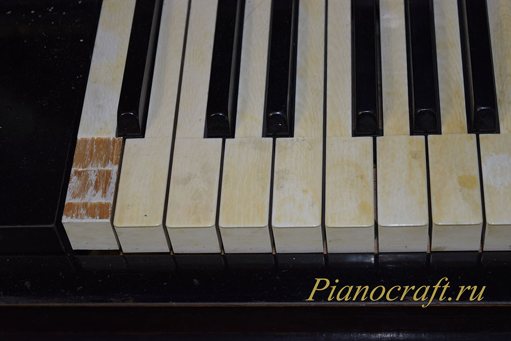 Реставрация фортепиано GUSTAV FIEDLER, LEIPZIG черный матовый лак для пианино