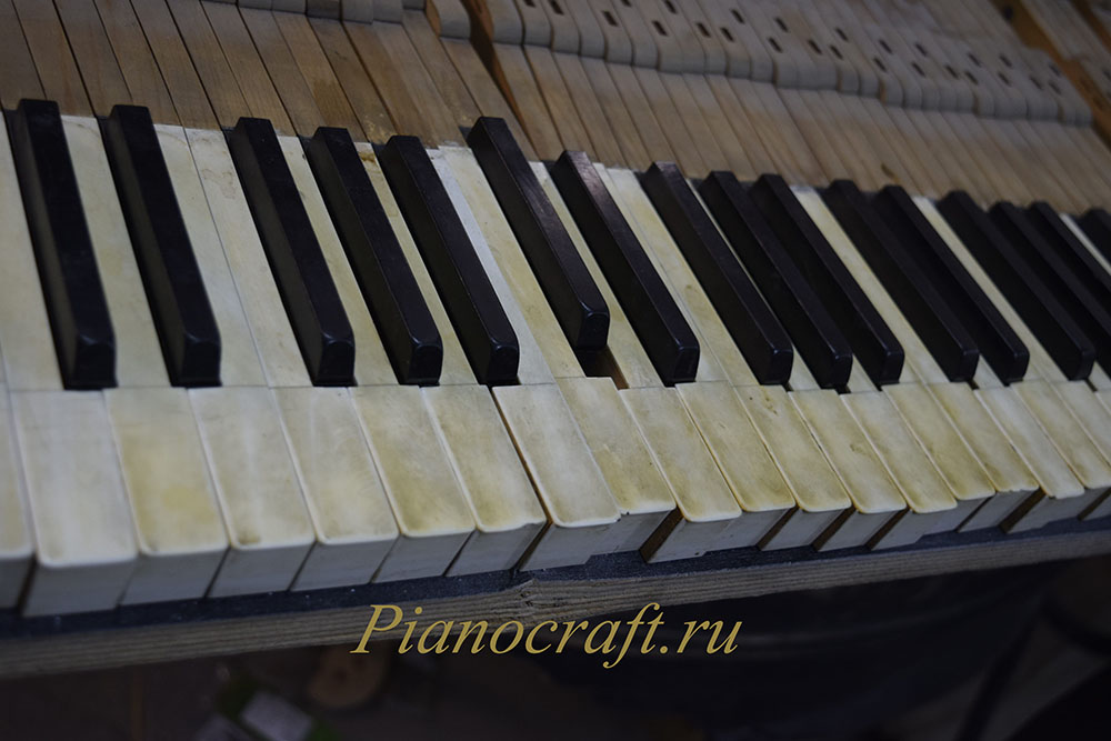 Реставрация деки, вирбельбанка, клавишей, механики пианино STURZWAGE